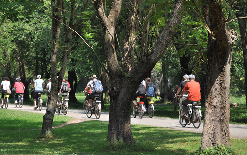 (bike along serene footpats) Image
